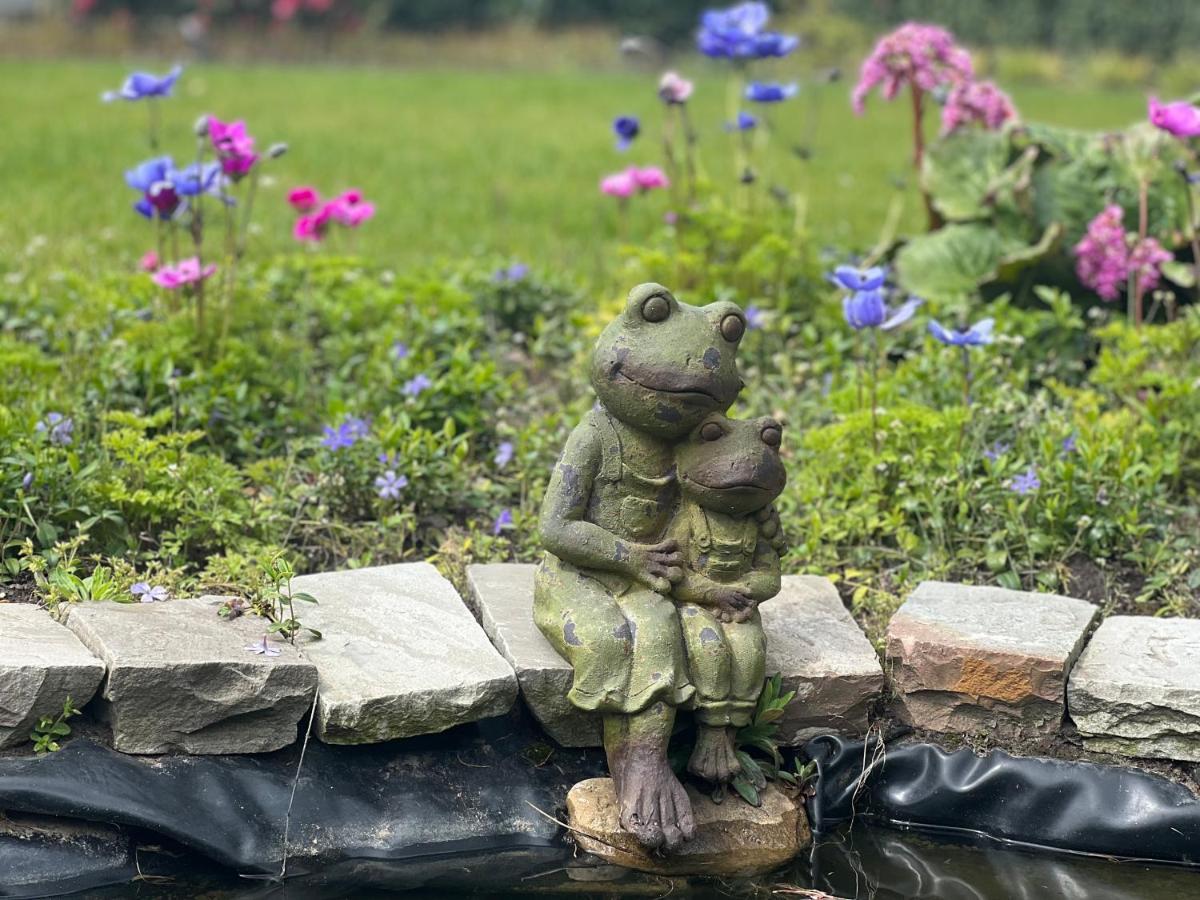 Ikigai B&B - Wellness Oud-Turnhout Екстериор снимка