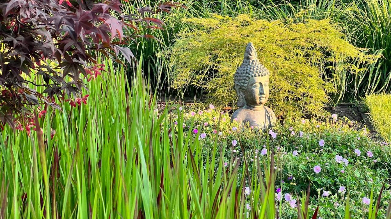 Ikigai B&B - Wellness Oud-Turnhout Екстериор снимка