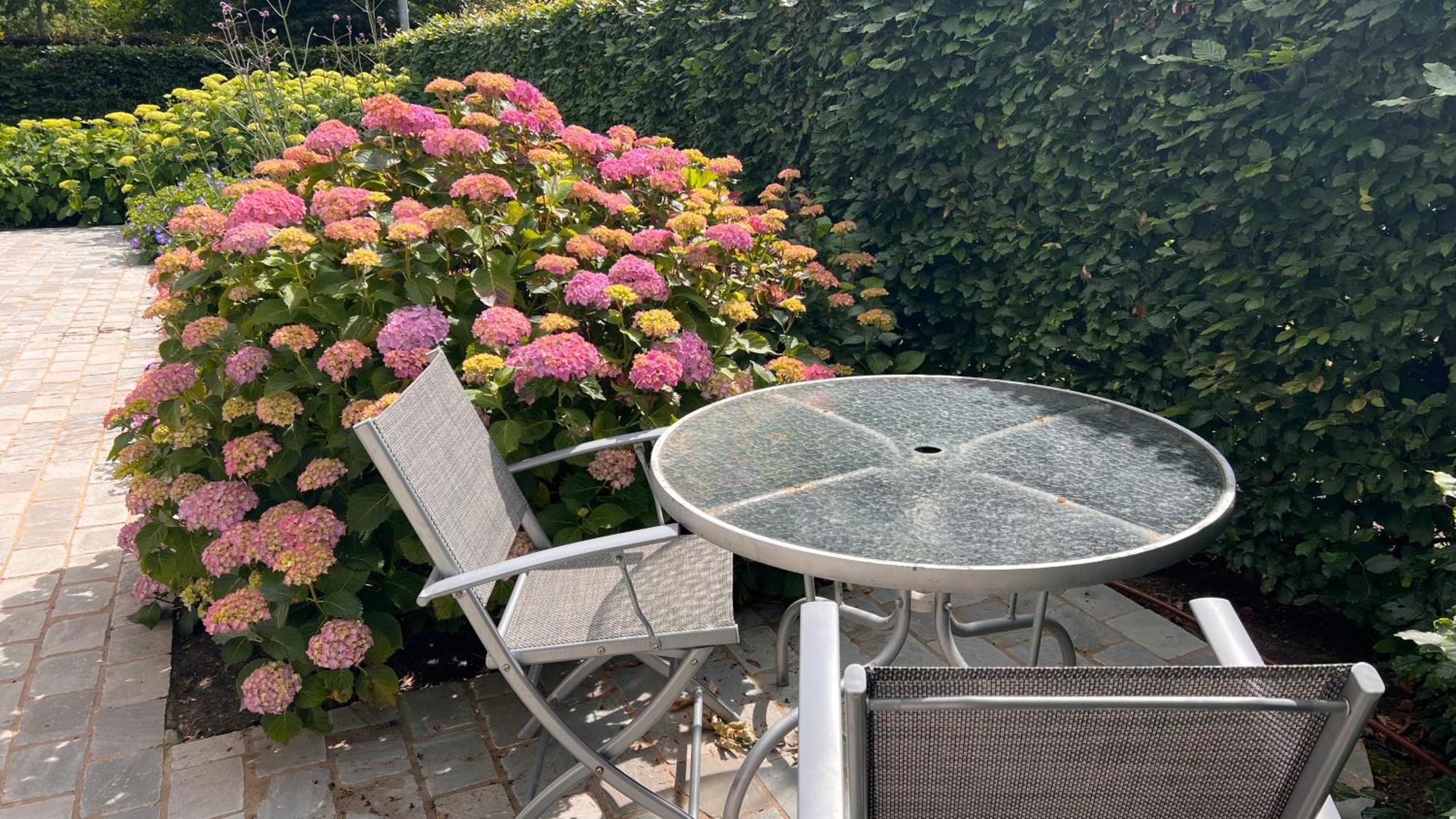 Ikigai B&B - Wellness Oud-Turnhout Екстериор снимка