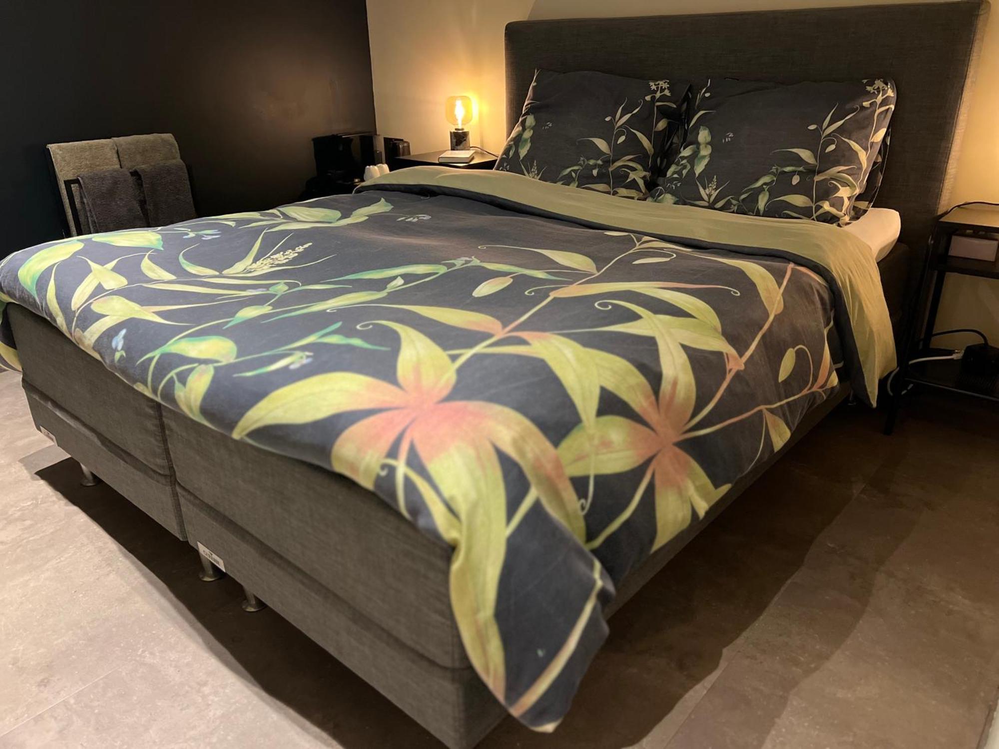 Ikigai B&B - Wellness Oud-Turnhout Екстериор снимка